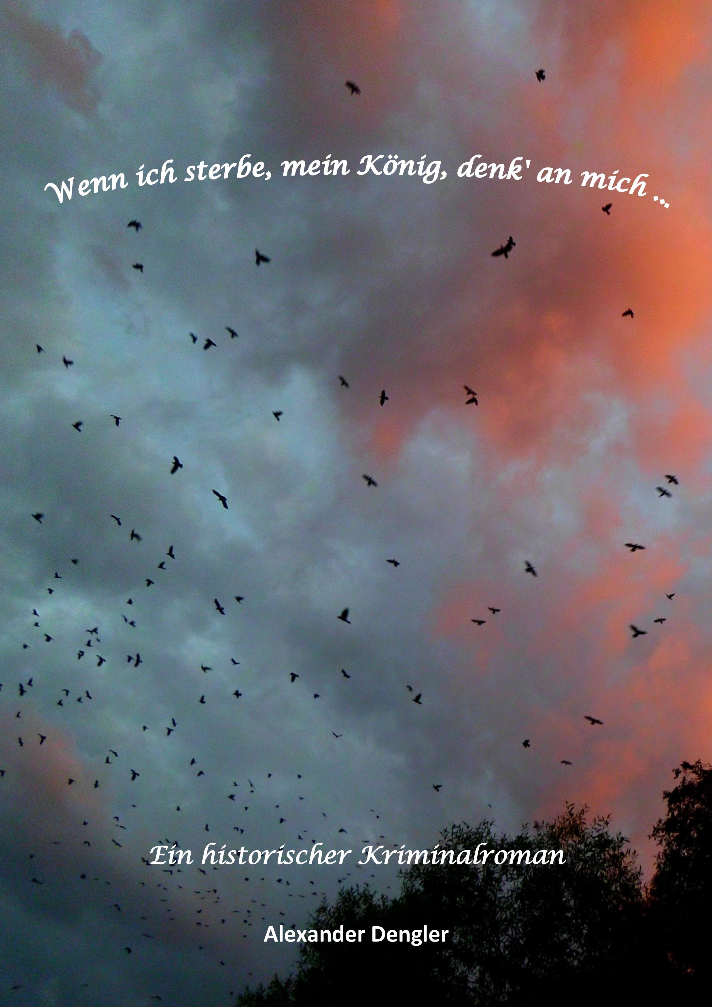 Cover: Wenn ich sterbe, mein König, denk' an mich
